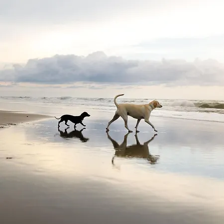 Ocean Breeze - Part Of The The Bay Village With Pool, Gym And Direct Access, Pub, Restaurant, Tennis And Meadows Walks *