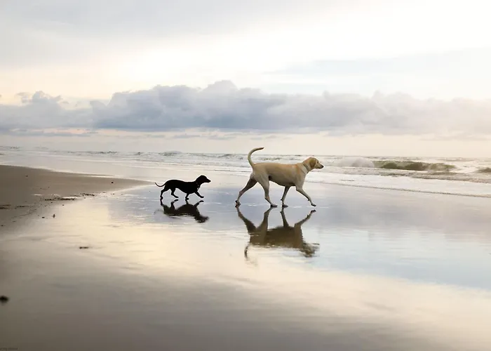 Ocean Breeze - Part Of The The Bay Village With Pool, Gym And Direct Access, Pub, Restaurant, Tennis And Meadows Walks *